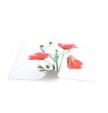 Chiffon de nettoyage, 18x18 cm, Coquelicots Chiffon de nettoyage, 18x18 cm, Coquelicots