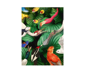 Paño de cocina, Aves