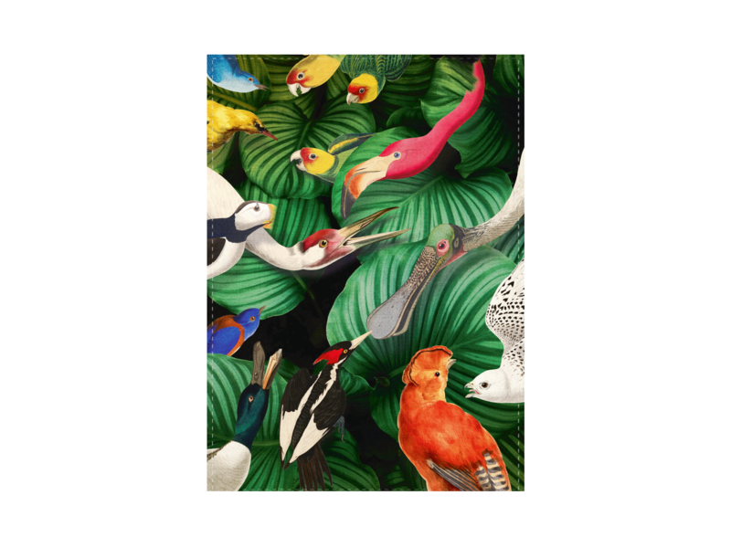 Torchon,  Oiseaux, Musée Teylers