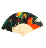 Fan , Teylers Museum, Birdlife