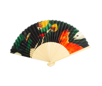 Hand Fan , Bird life, Teylers Museum