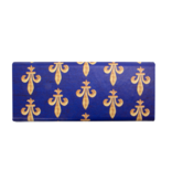 Foldable spectacle case with lens cloth ,Fleur de Lys