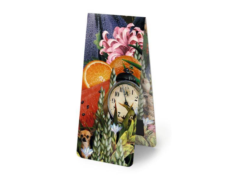 Magnetic Bookmark,   Frida Kahlo, fruit