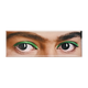 Fridge Magnet, panorama, The eyes of Frida Kahlo