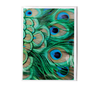 Double card with envelope, Peacock feathers