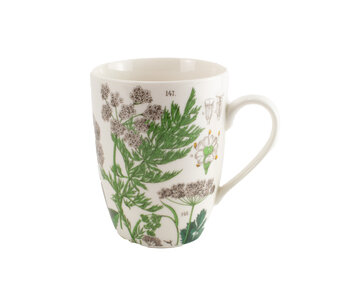 Mok, Zevenblad, Hortus Botanicus