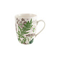 Becher, Holunderblatt, Hortus Botanicus