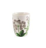Tasse, Feuille de sureau, Hortus Botanicus Tasse, Feuille de sureau, Hortus Botanicus