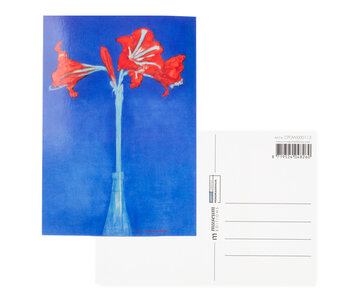 Ansichtkaart, Piet Mondriaan, Amaryllis