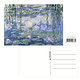 Postcard  , Claude Monet, Waterlilies