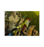 Postcard, 10x15 cm,  Jheronimus Bosch, Garden of Earthly Delights 8