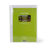 Double carte avec enveloppe,  Jheronimus Bosch, jardin des délices terrestres 3 Double carte avec enveloppe,  Jheronimus Bosch, jardin des délices terrestres 3