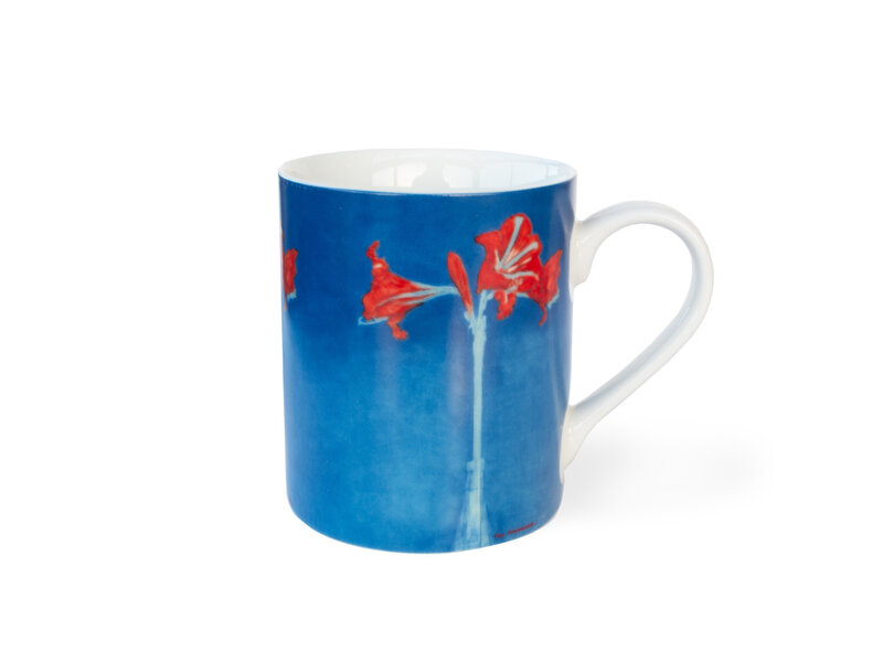 Taza, Piet Mondriaan, Amaryllis