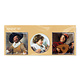 Magnets pour réfrigérateur, lot de 3, Frans Hals
