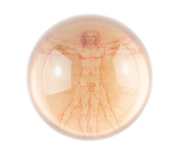 Glass Dome,   Da Vinci, Vitruvian Man