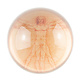 Glass Dome,   Da Vinci, Vitruvian Man