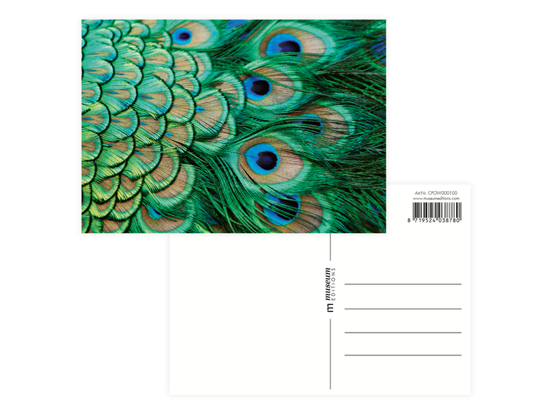 Postkarte, Pfauenfedern