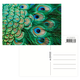 Postal,  plumas de pavo real