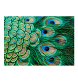 Carte postale, Plumes de paon