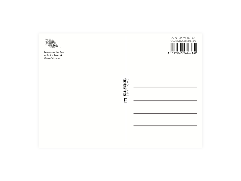 Postkarte, Pfauenfedern
