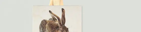 Canvas Prints