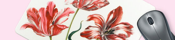 Tapis de souris