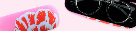 Spectacle Case