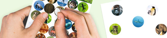 Ensemble d'autocollants