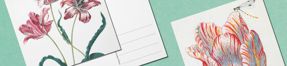 Tarjetas