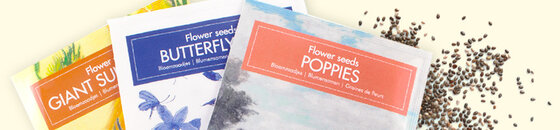 Postkarte mit Samen