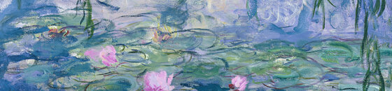 Water Lilies