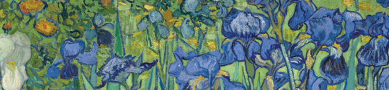 Irises