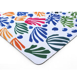 Muismat, Matisse, De parkiet en de zeemeermin