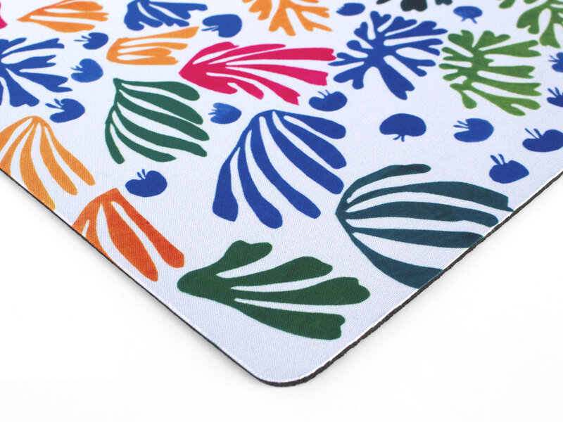Muismat, Matisse, De parkiet en de zeemeermin