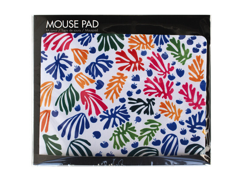 Muismat, Matisse, De parkiet en de zeemeermin