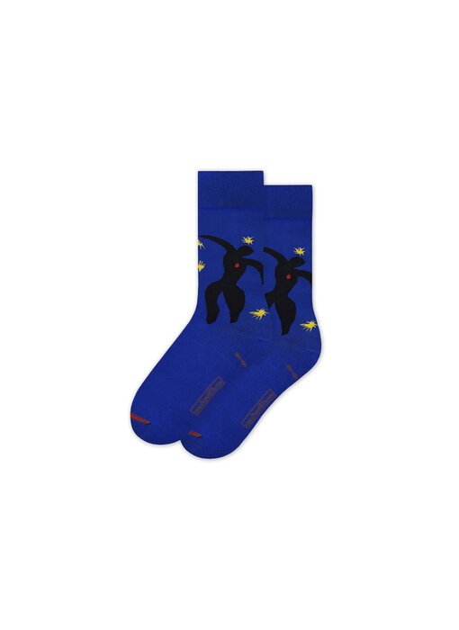 Calcetines artísticos, talla  36-40, Henri Matisse, Icarus
