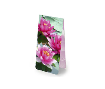 Magnetisches Lesezeichen, Seerose