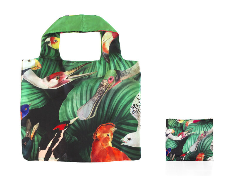 Shopper foldable , Bird life, Teylers Museum