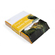 Memo Block, Paul Cezanne,The house of Jas de Bouffan