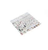 Lens cloth, James Ensor, The Baths at Ostende