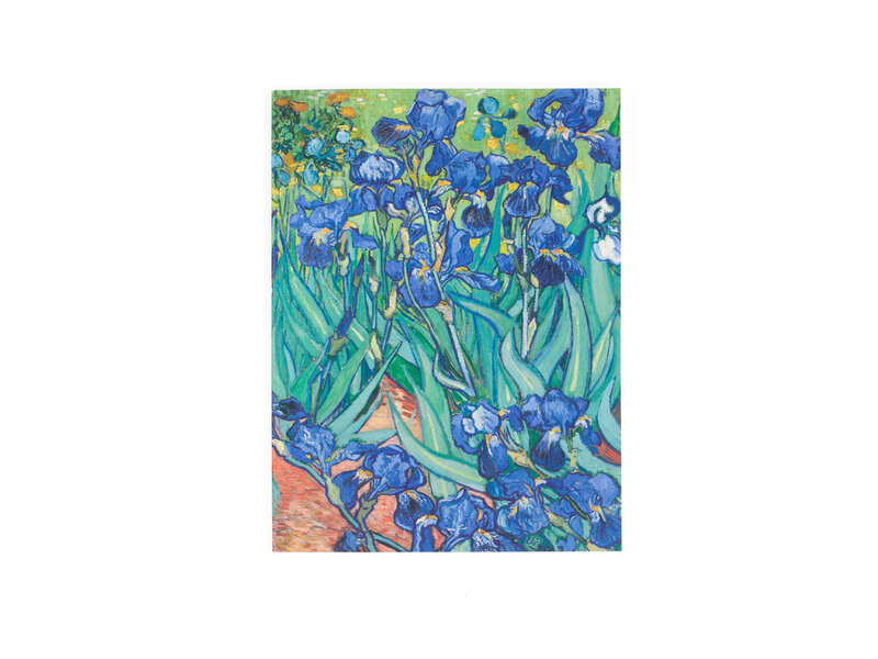 Softcover art sketchbook, Irises