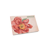 Water Colour Notebook, A6 , Peonies