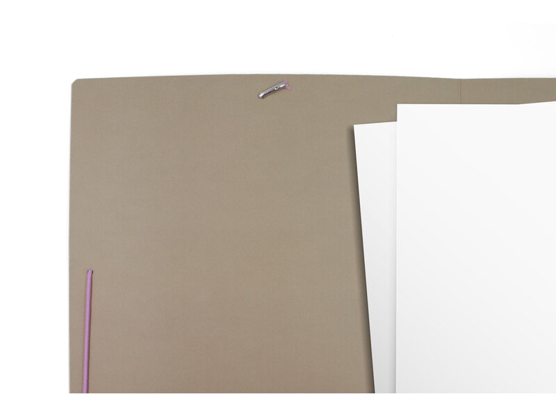 Paper file folder ,  Frida Kahlo, Portrait with Hummingbird