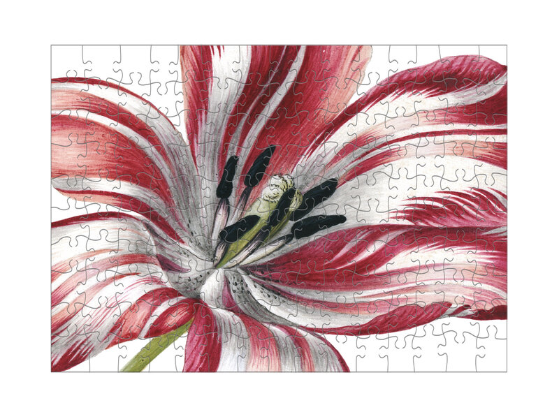 Mini Kunst puzzel, Tulips, Maria Sibylla Merian