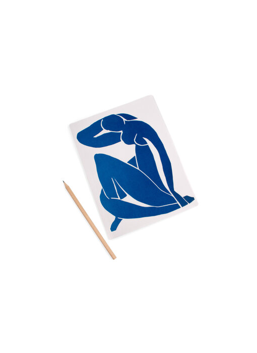 Diario del artista, Matisse, Dama azul