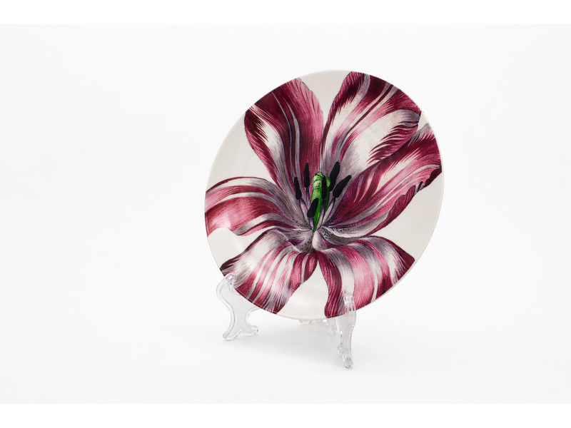 Porseleinen bord, Ø 20  cm, Tulip, Merian