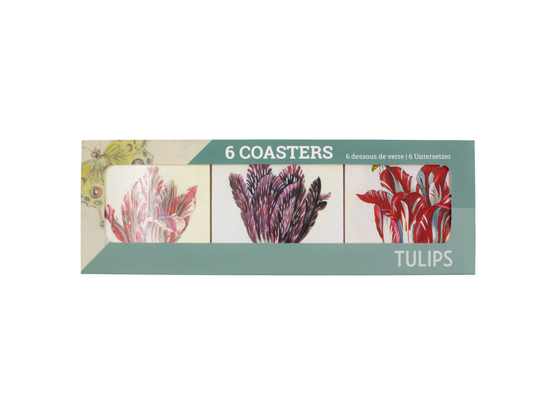 Posavasos, Tulipanes, Jacob Marrel