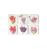 Posavasos, Tulipanes, Jacob Marrel