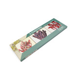 Posavasos, Tulipanes, Jacob Marrel