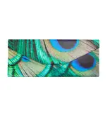 Foldable spectacle case , Peacock feathers